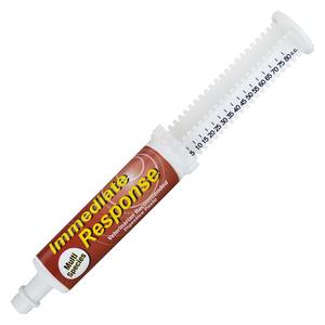 Immediate Response Paste for Multi-Species  Ortho Equine